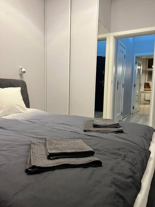 V&O Apartament In The Centre Of クラクフ エクステリア 写真